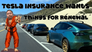 tesla model y parked on the side of the road with ken masters from street fighter 2 posing