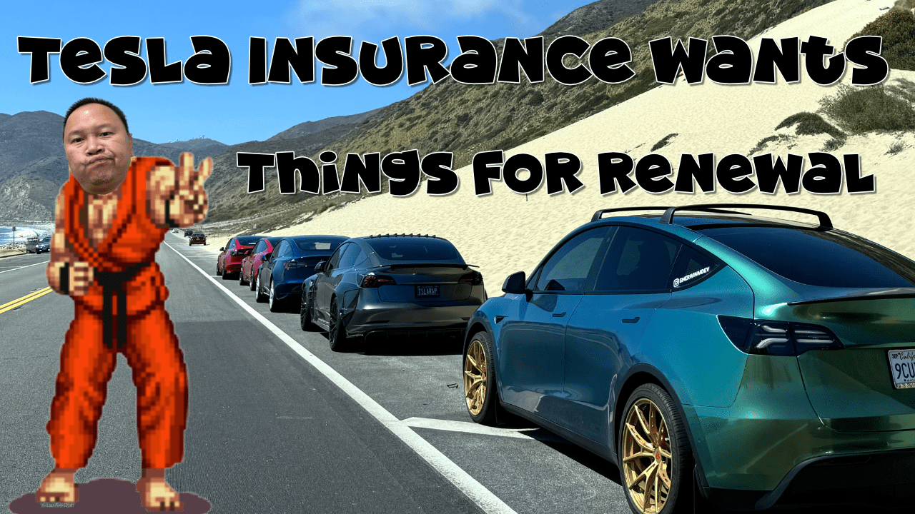 tesla model y parked on the side of the road with ken masters from street fighter 2 posing